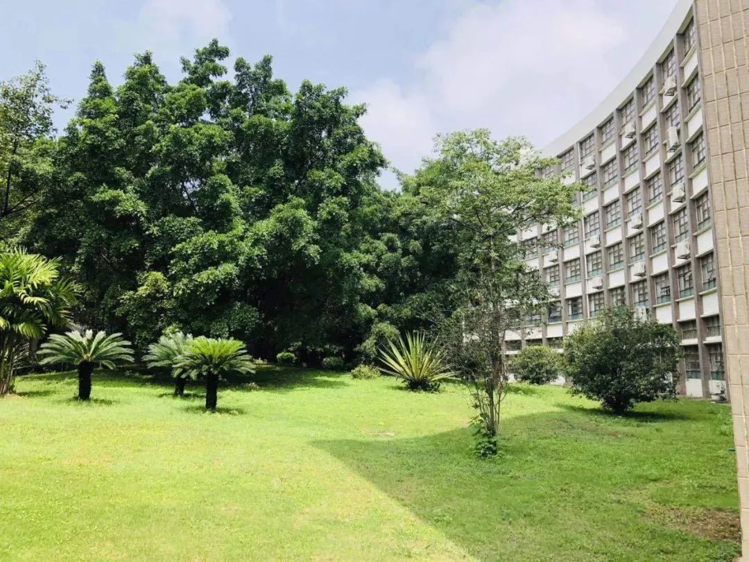 高职高考必看｜全面了解广州城市职业学院