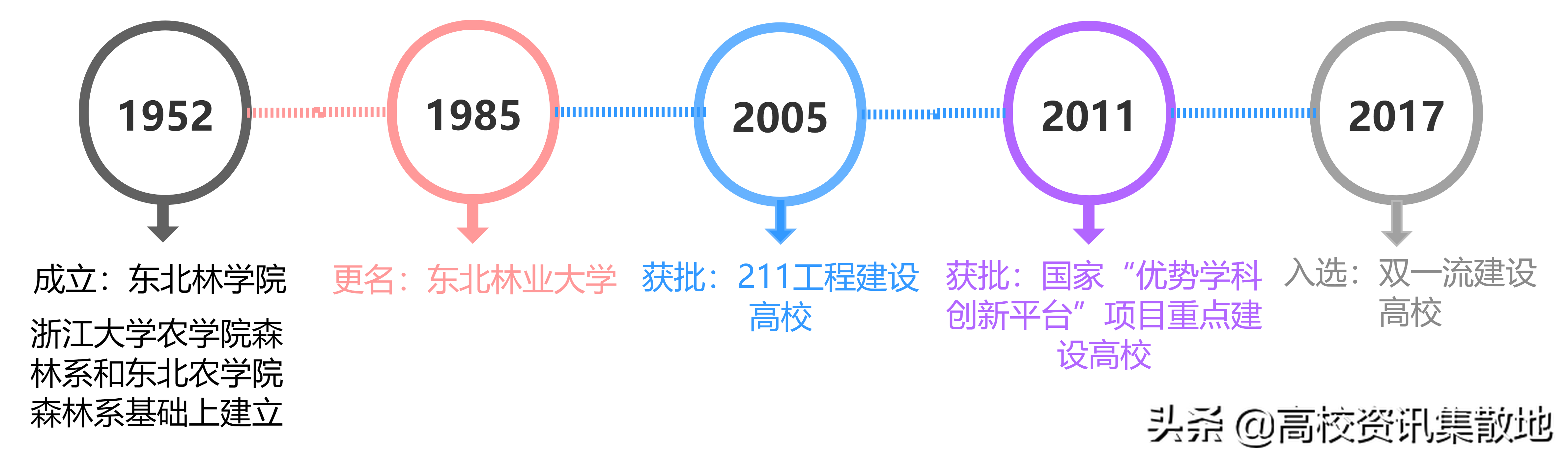 王牌专业就业率竟然最低！探寻东北林业高校的翘楚