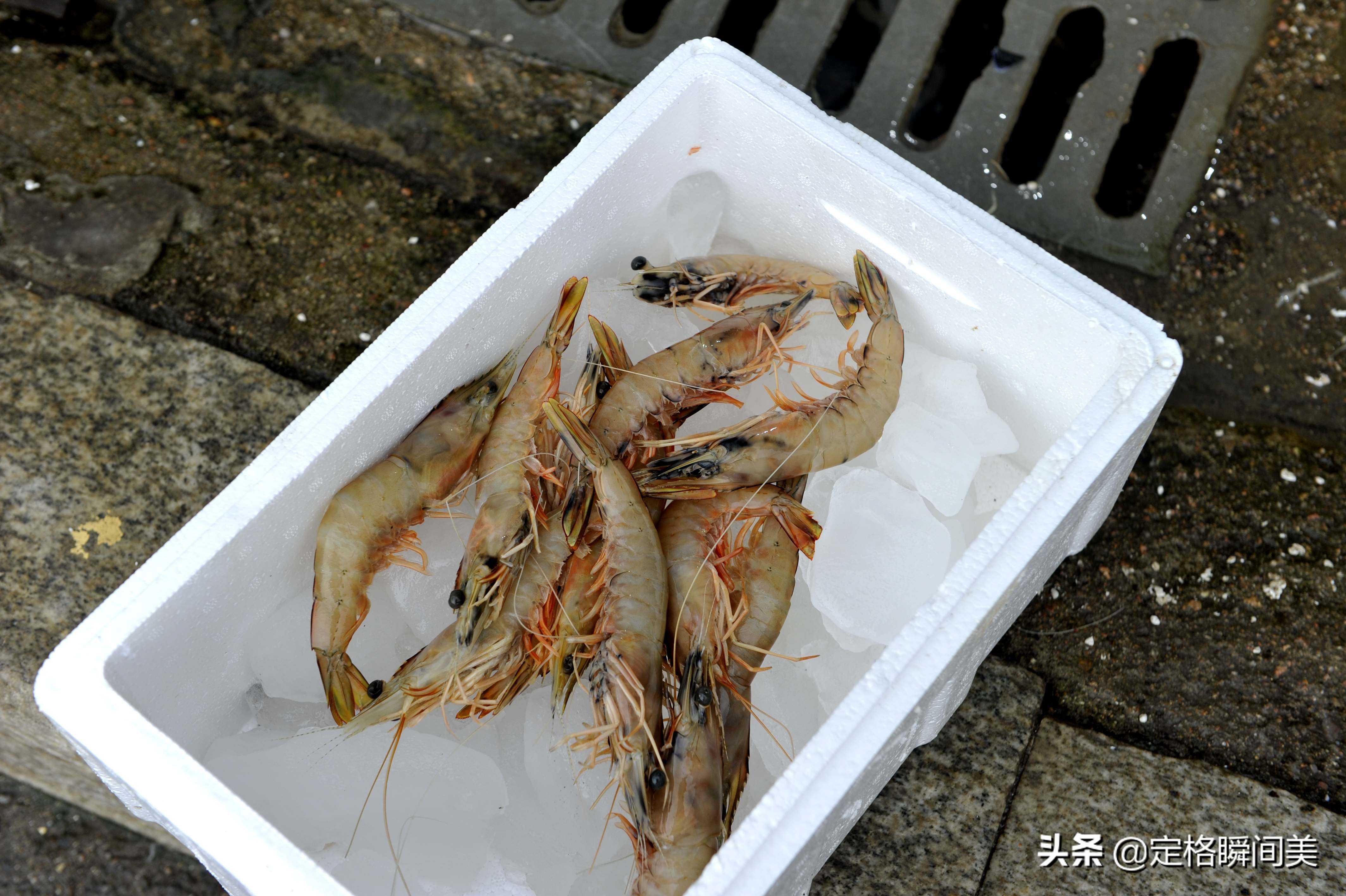海捕大蝦,海捕大蝦怎么做好吃
