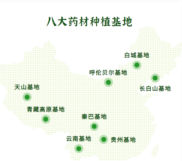 国药药材：道地种植 保障中医药材“源头活水”