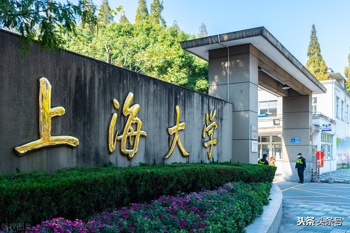 四大直辖市命名的大学，怎么排名？