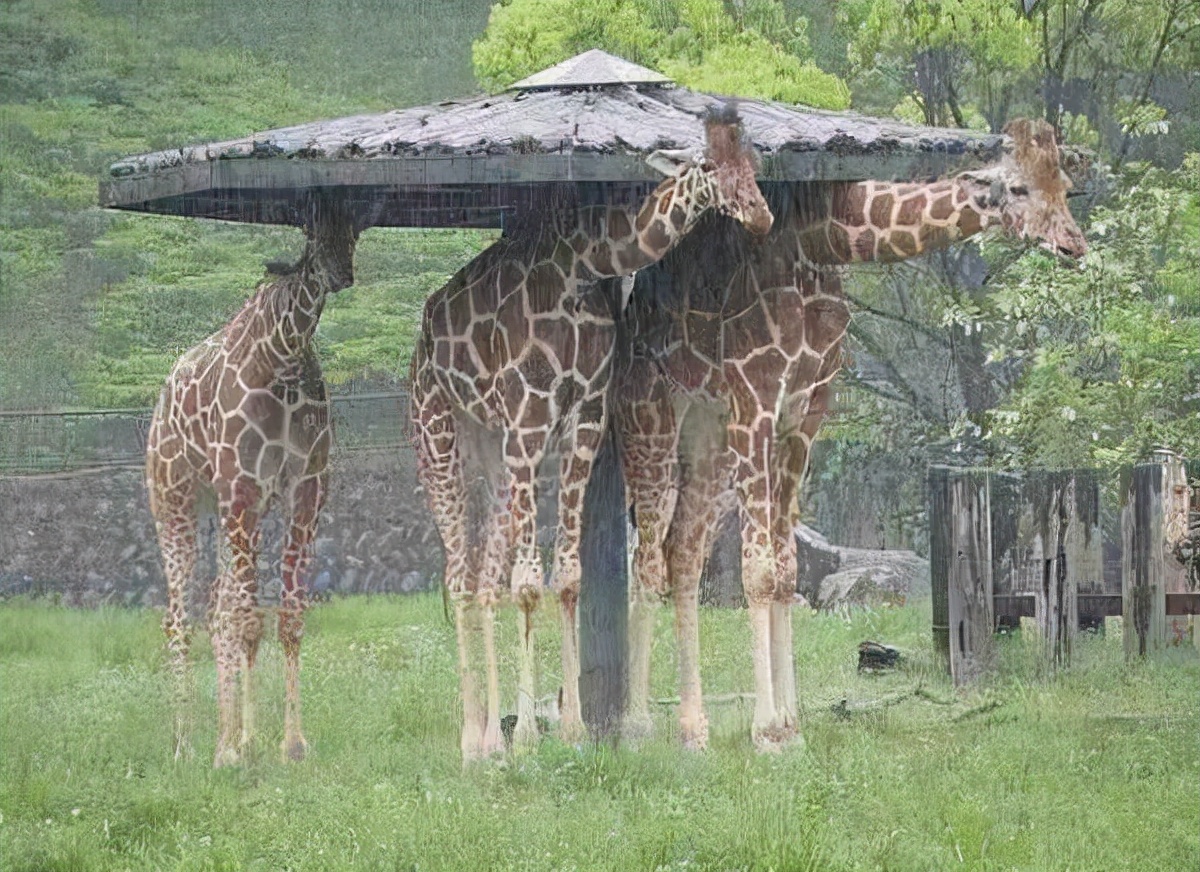 感觉身体被掏空！9个熬夜也要看的小网站推荐