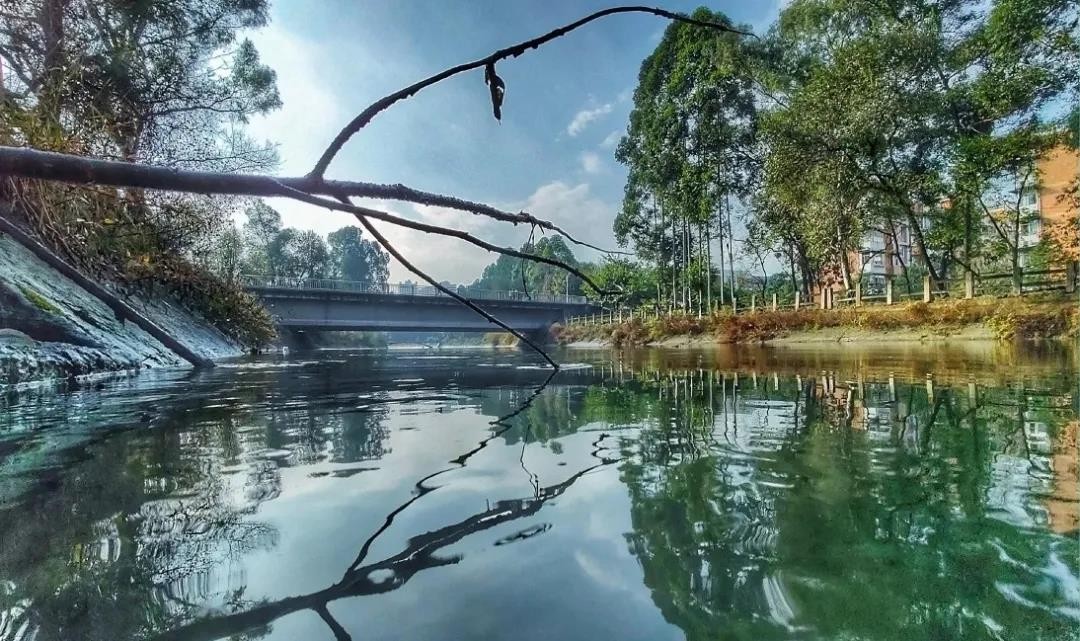 成都“二仙桥”火遍全网！这所一流大学坐落于此，地铁直达校门口！