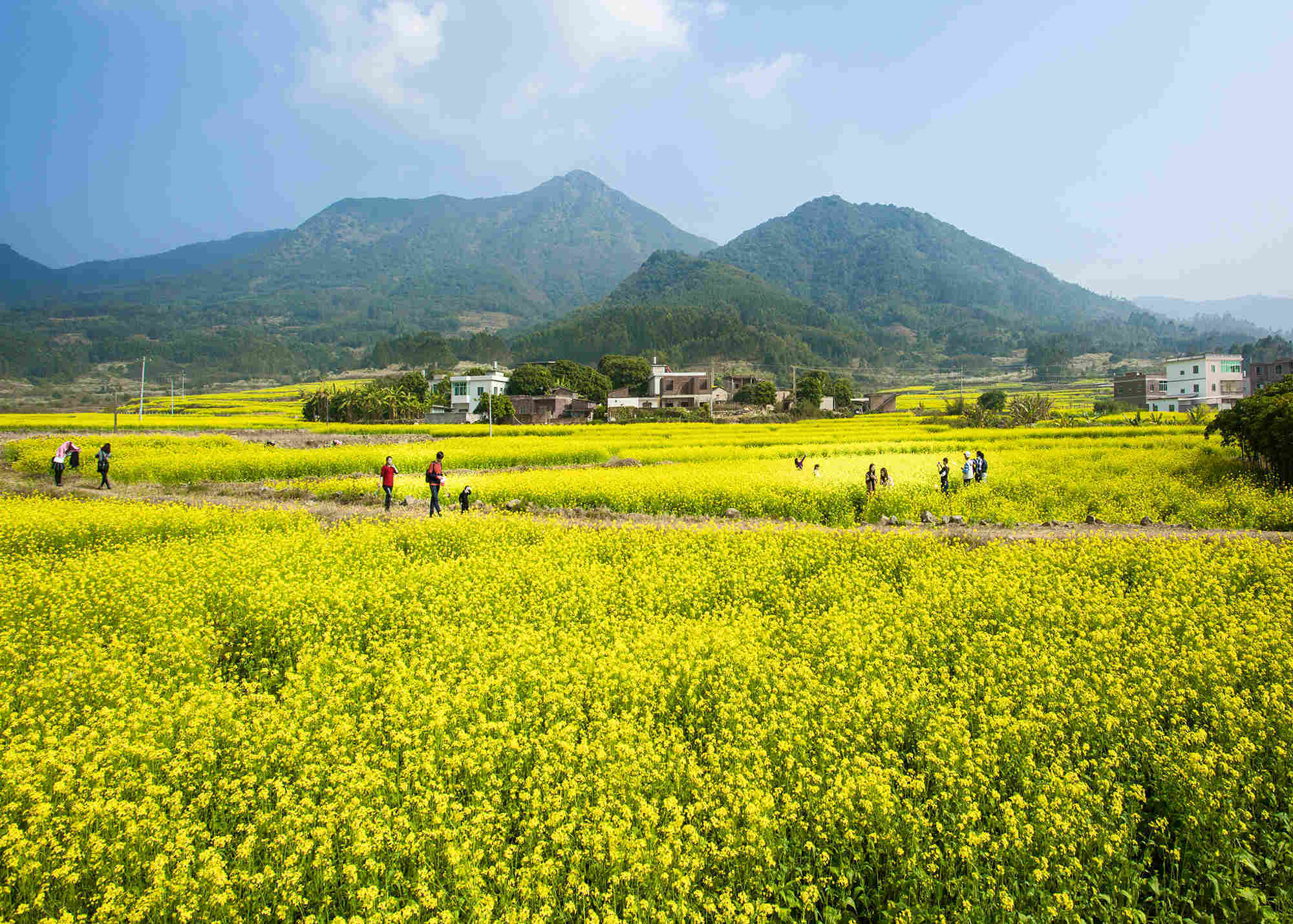 古山重景区(山重村)是国家生态示范村,全国特色景观