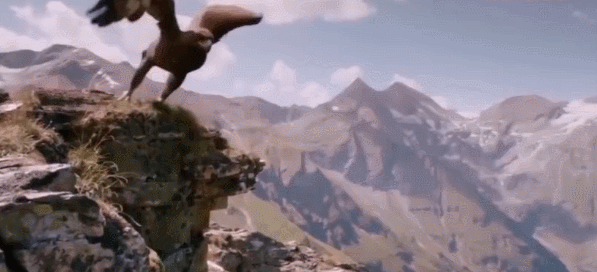 中国境内的“万鹰之王”——金雕，能单杀野狼，叼着山羊飞