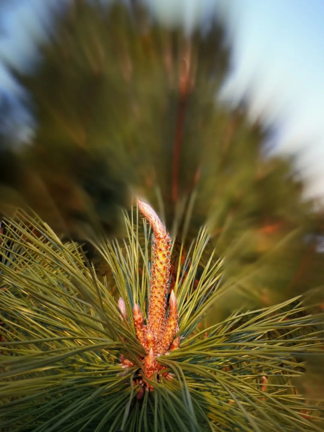 怀德学院“心怀正气 尚德倡廉”文化作品展