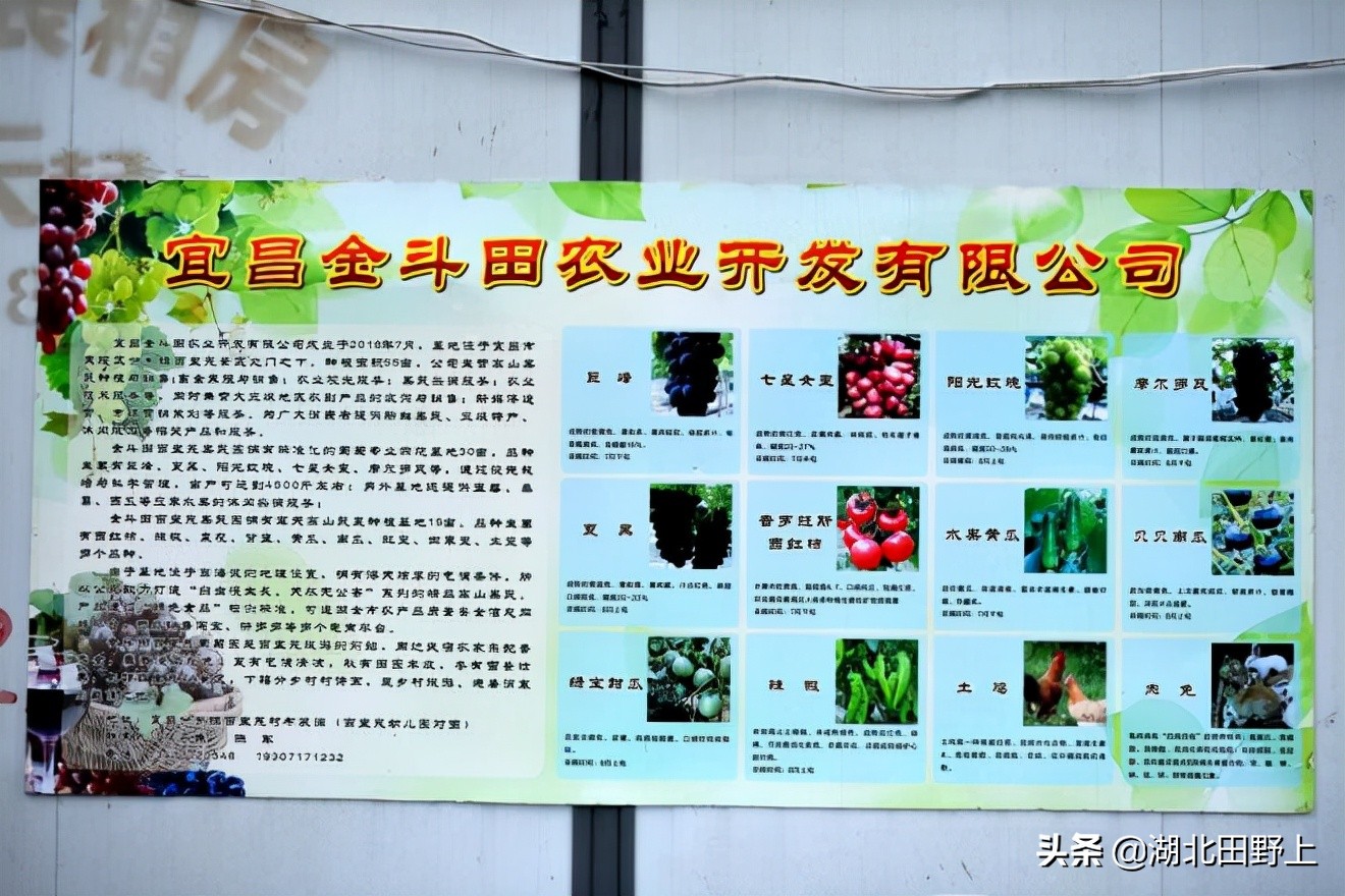 田野上團(tuán)隊(duì)下鄉(xiāng)小記丨走進(jìn)省級美麗鄉(xiāng)村示范村—分鄉(xiāng)鎮(zhèn)百里荒村