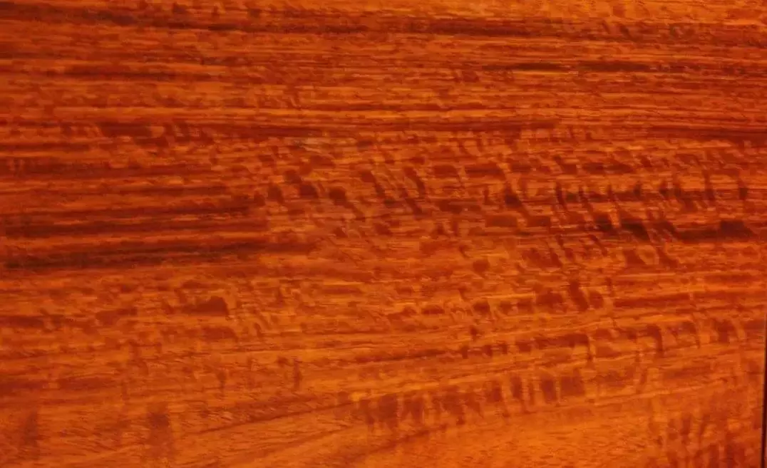 纹理囊状紫檀pterocarpus marsupium roxb 气干密度075