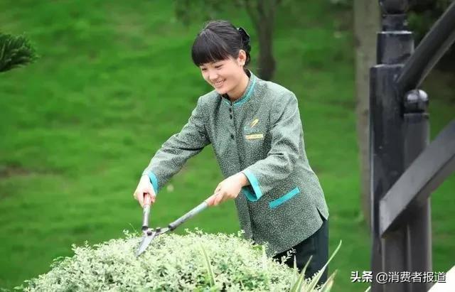 碧桂园房屋质量与物业服务调查报告