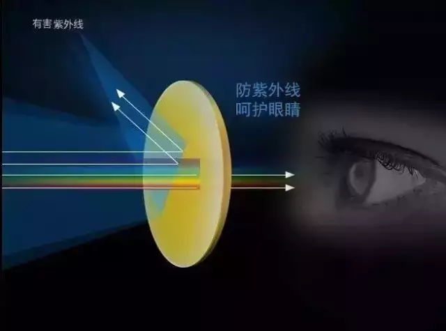 日本设计的儿童显微镜！放大120倍发现新世界，中国孩子新玩物