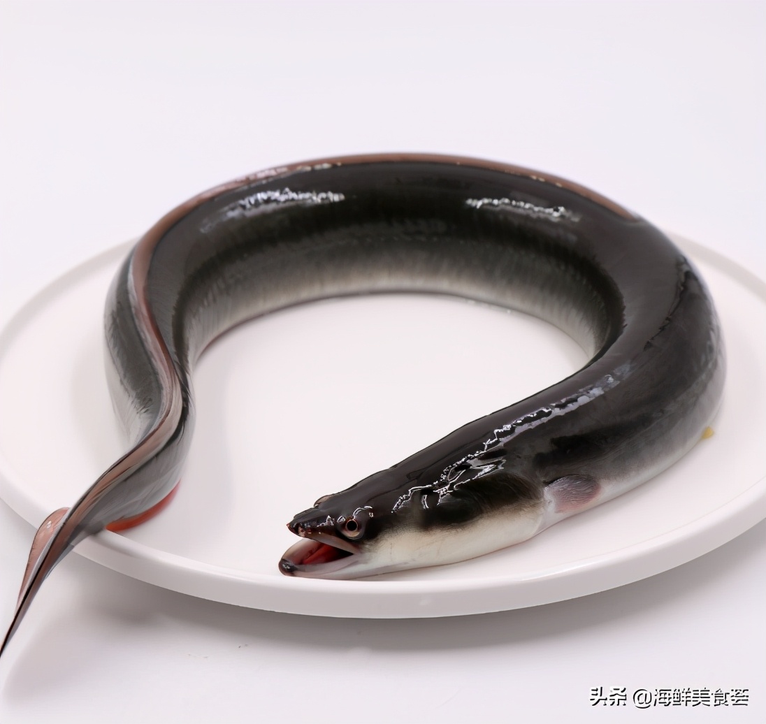 六月谷上埕,泥鳅田中去寻兄;寻到鳝鱼回家返,遇着鳗鲡同路行.