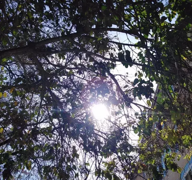 四川民族学院落户泸定！而我们却把青春留给了姑咱的风和大渡河！