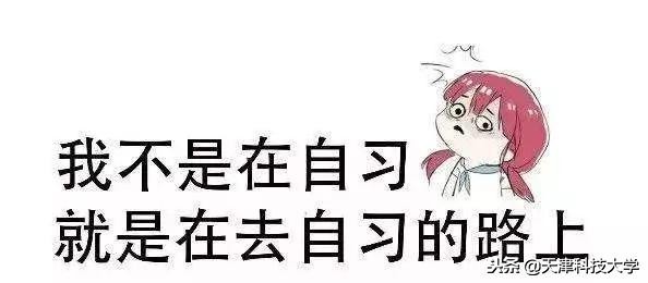 迎战四级——Are you ready？
