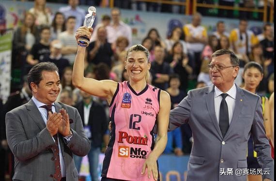 阿比西尼亚英短阿比西尼亚英短