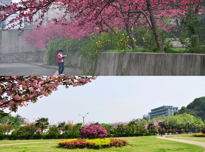 湖北师范大学，一所藏在童年记忆里的