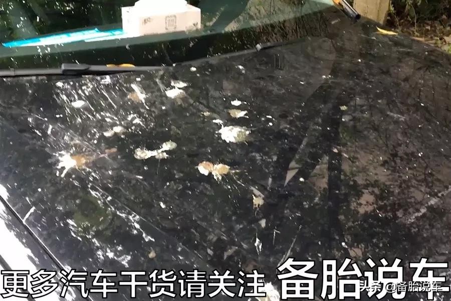 汽车长时间不开，发动机无法启动？做好这几点保证没有问题