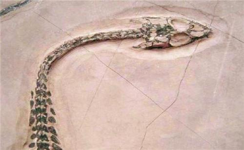 最终两条龙被夏朝人吃了？民间传说是真的吗？原因是这样的？