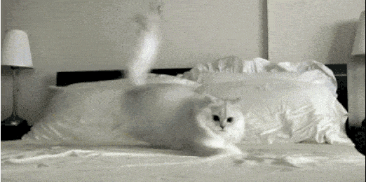 2020版最新法官、检察官表情大全！哈哈哈