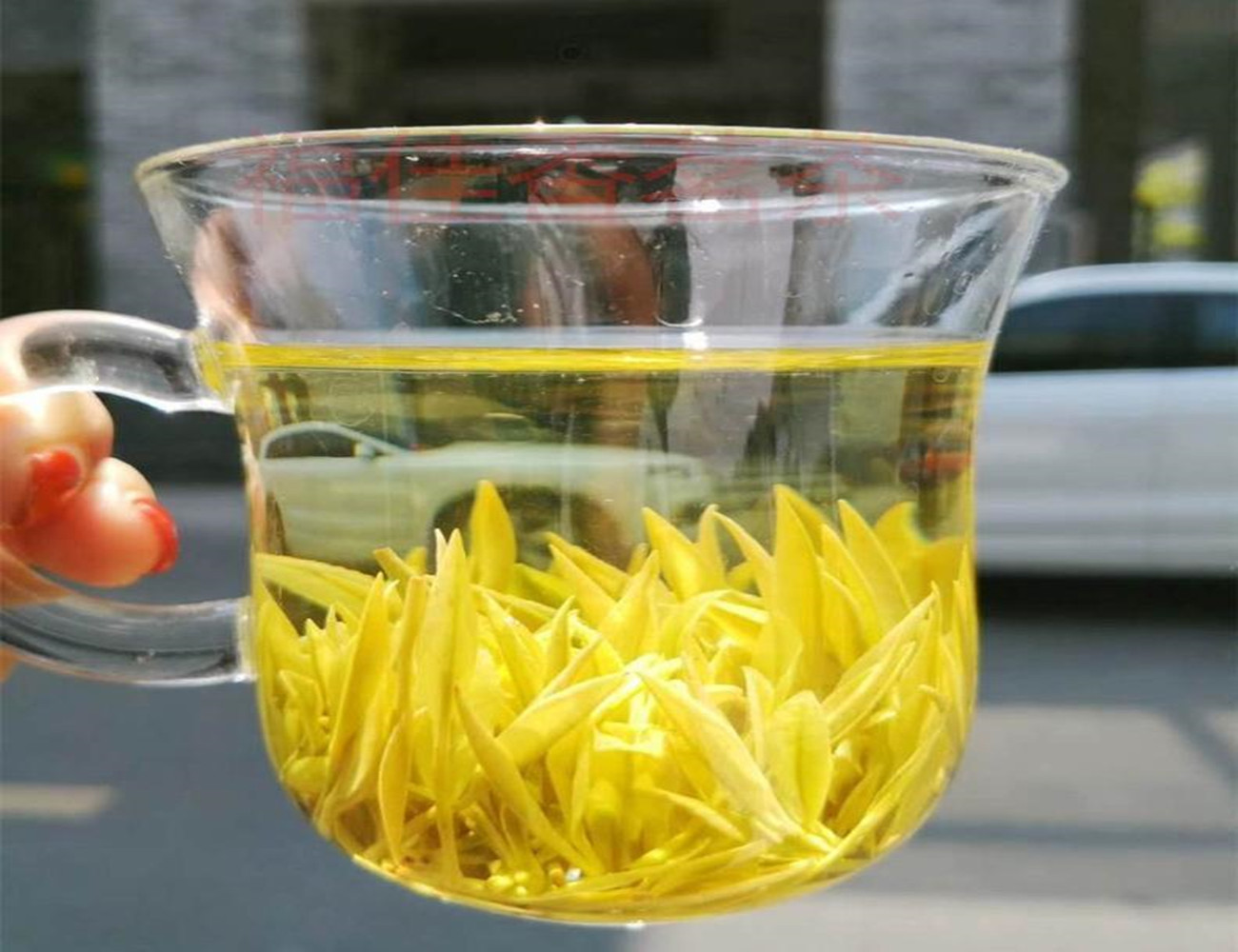 新黄茶"黄魁",是品种黄