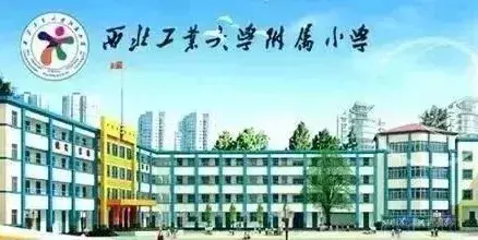 2019西安优质小学大解析！