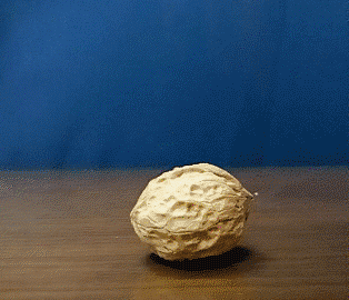 什么是代沟？大概就是你说笑尿了，你妈惊呆了