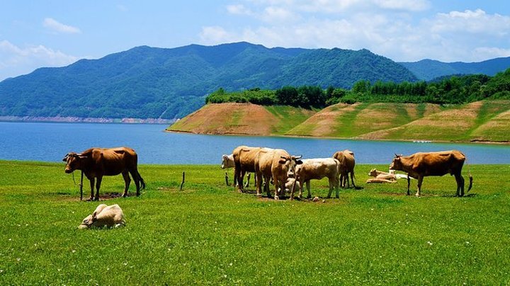 丹东冷清小村庄，至今仍保持日升而出习惯，民风朴实，游客很少