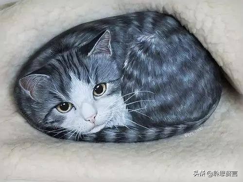 咏猫诗词精选三十三首 吸猫雅事，古已有之