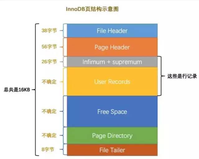 最全面的MySQL重要知识点