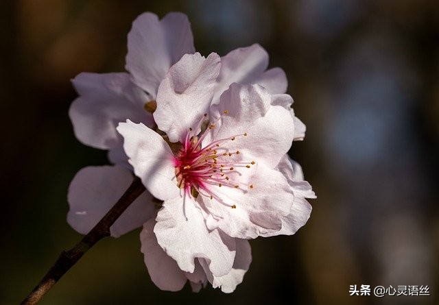 七年之痒：想不痒，其实，是可以的