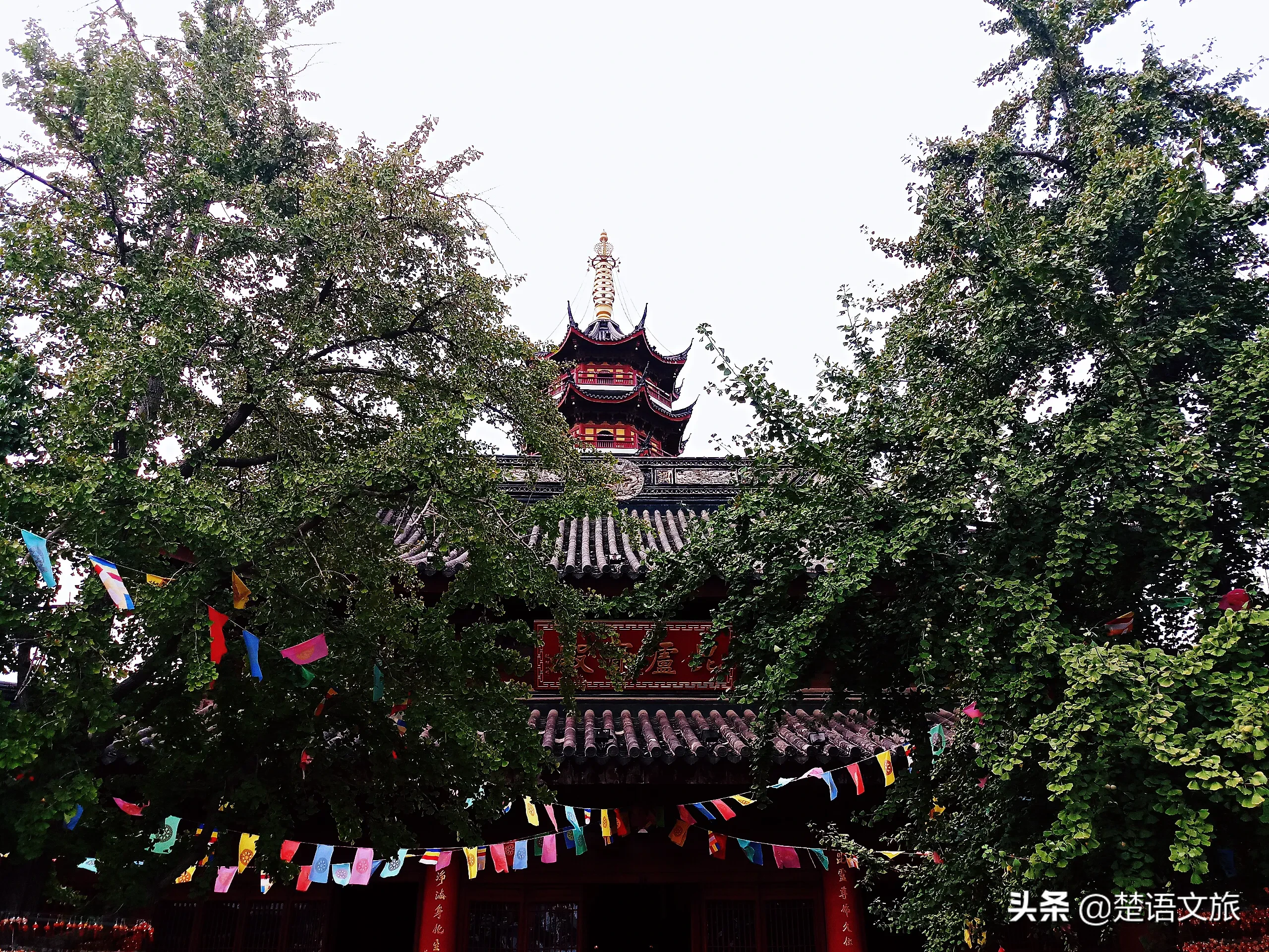 南京这座寺院，号称南朝四百八十寺之首，求签拜佛的居然多为美女