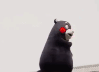 喜报！博白理科状元刘泽洋​690分！文科何洁616分！附各校成绩