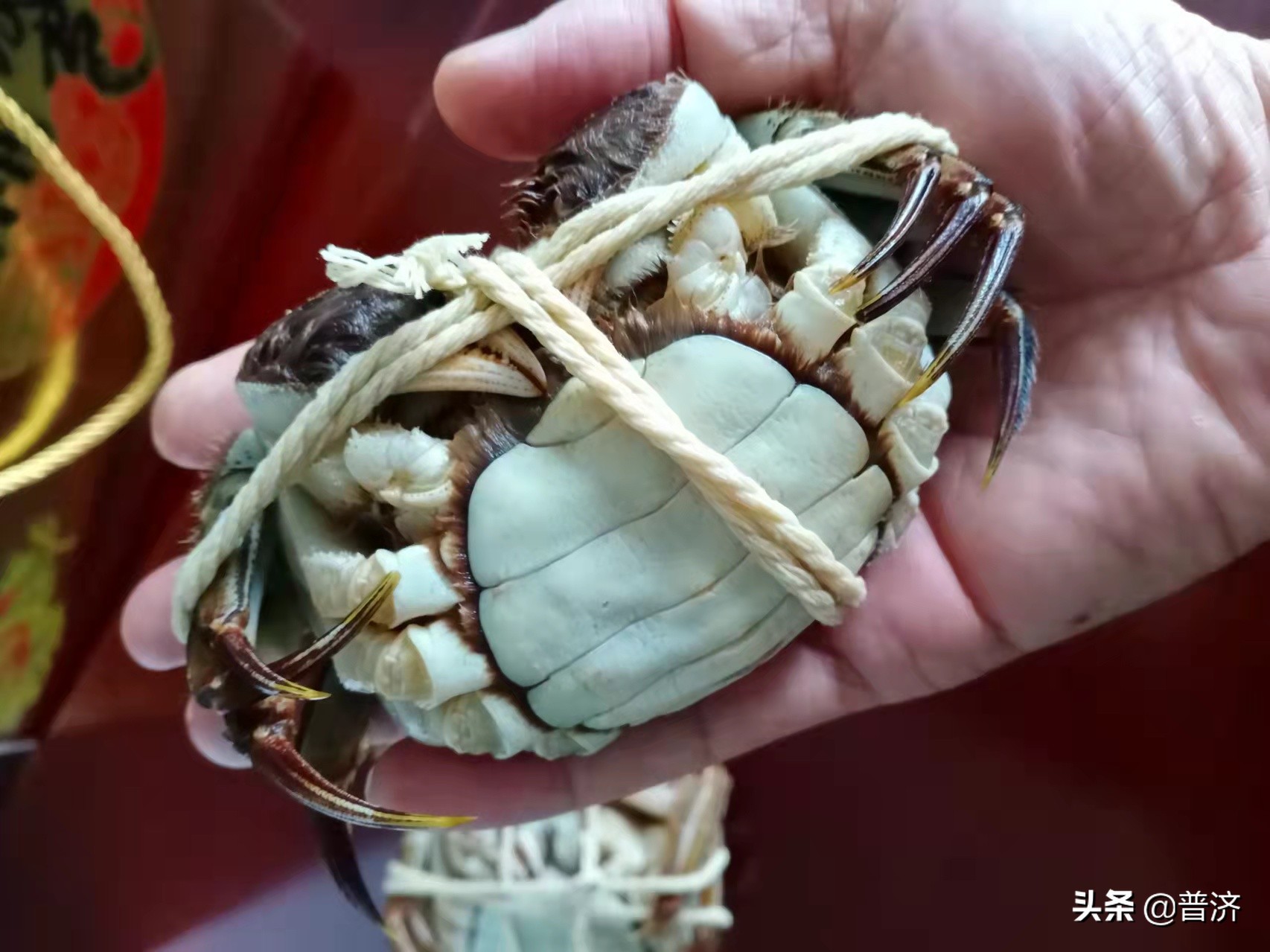 蟹心蟹鳃要扣了扔掉?吃螃蟹原来还有这么多乐趣