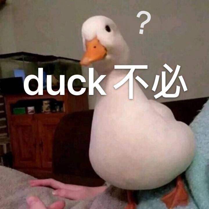 梗百科：duck不必是什么意思？