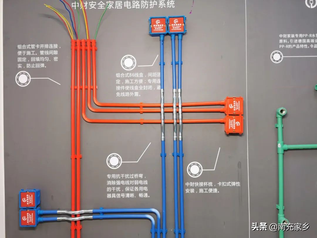 四川南充：你愿意回家乡发展吗？看看这两位小伙的创业故事
