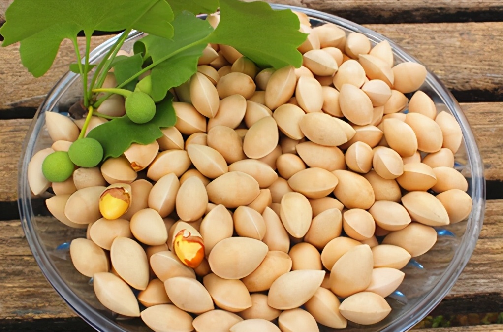 9月将成熟,掉得到处都是,有人说大补,有人说有毒,白果能吃吗