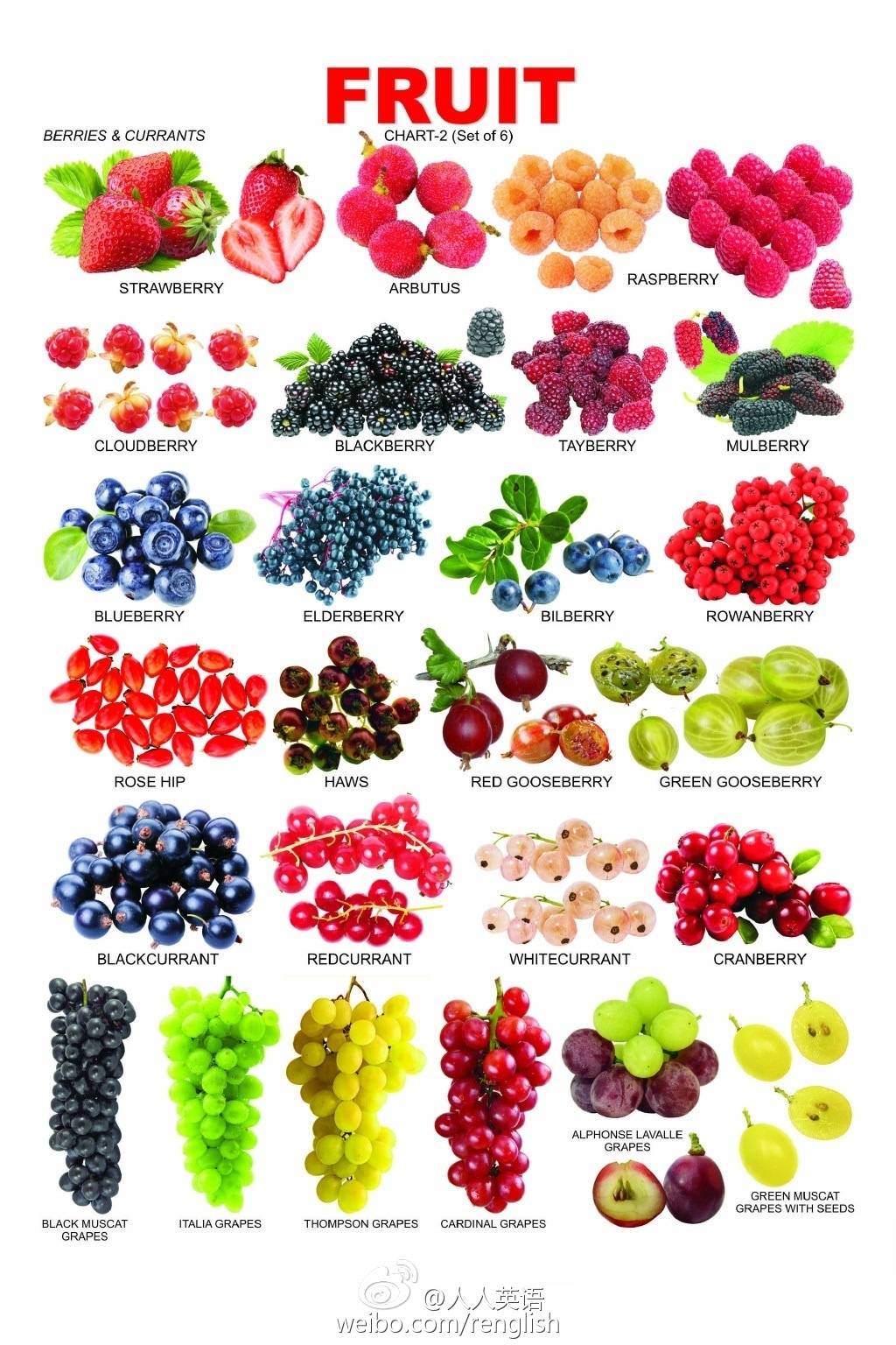 500种水果名称英语(50种常见水果的英语) 