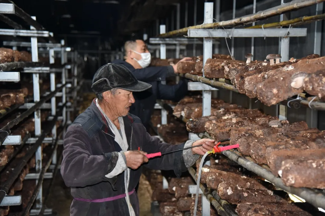 「直播预告」下周央视直播进江西，首站德安义门村，赶紧下载直播APP参与进来吧