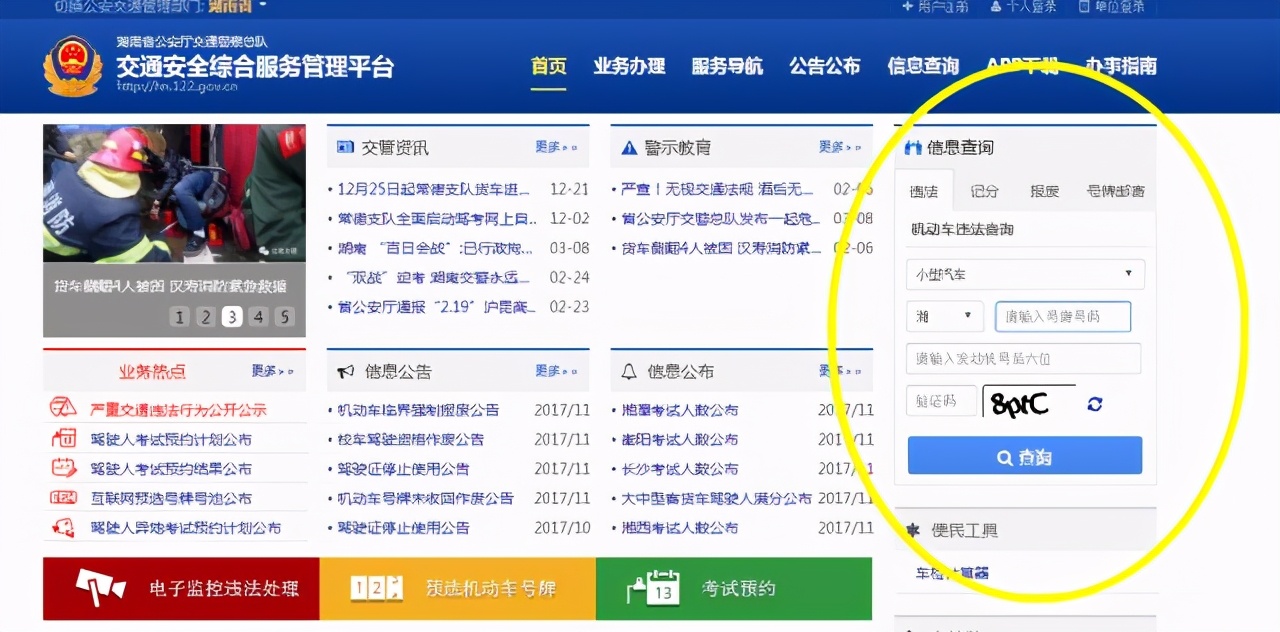 知识分享—小景教你查违章