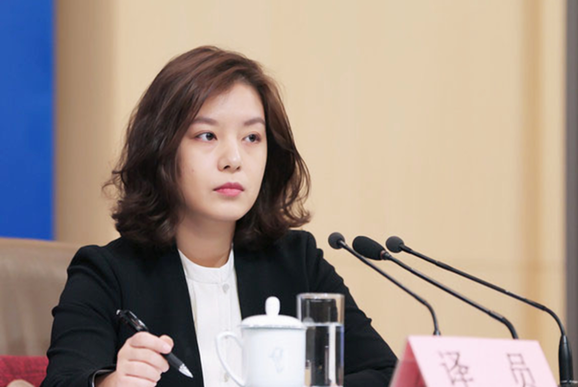 四位"美女翻译官"走红,颜值只是点睛之笔,她们用才华惊艳世界