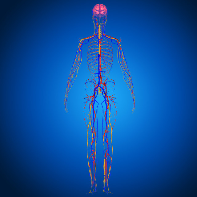 体检发现血管里有斑块，怎么办？有没有办法消除？