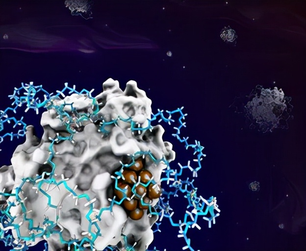 清华教授突破酶和金属催化剂的“次元壁”，药物中间体可高效合成
