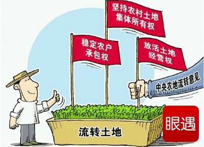 林地权属争议如何处理？第三人未参加诉讼可以申请再审吗？