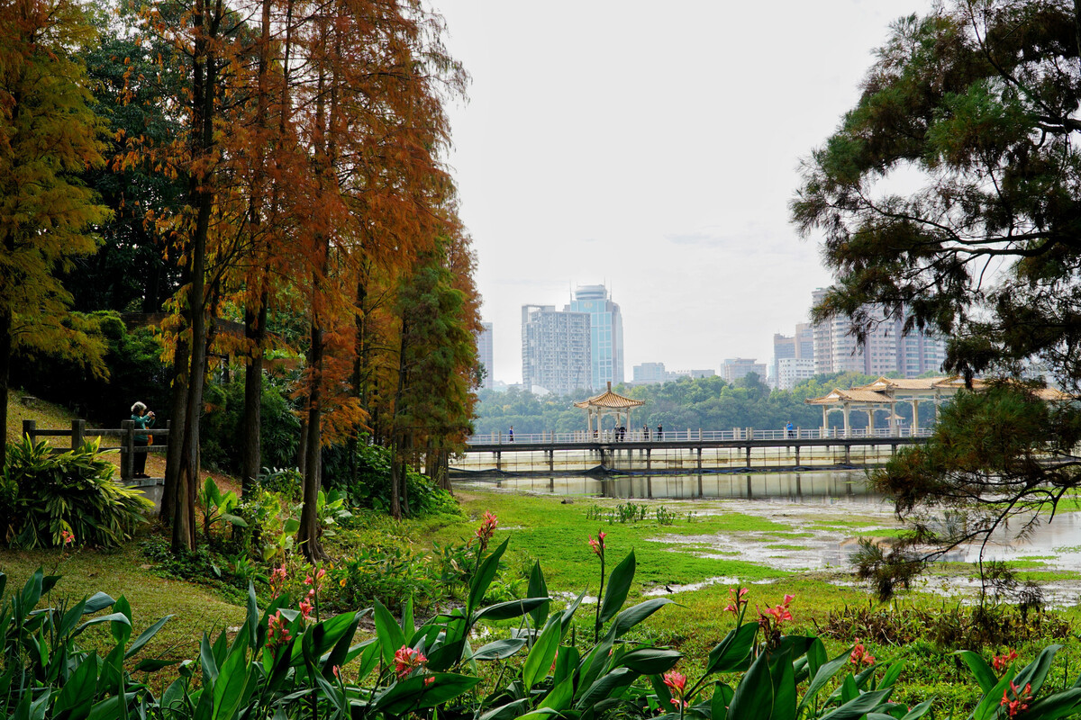 麓湖兒童樂園門票價格(廣州有處免費公園) - 價格百科