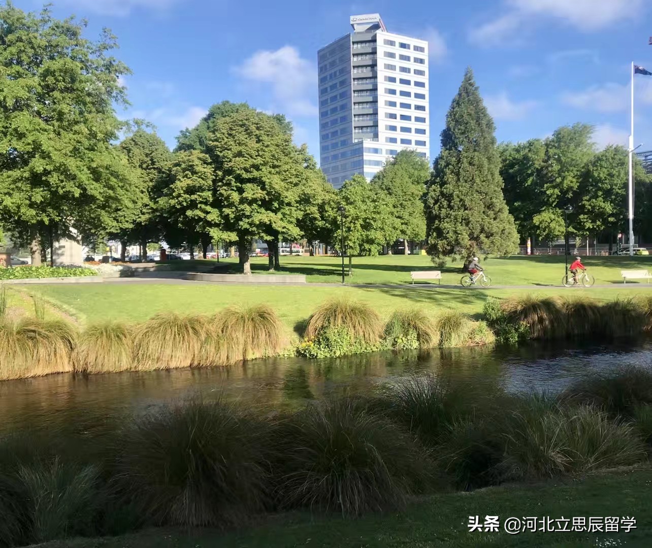 号称严谨的国家——德国留学有哪些热门专业值得选择？