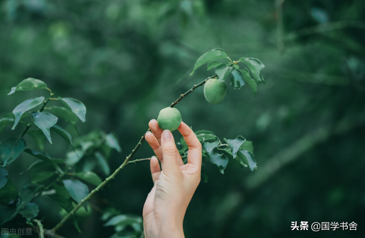 《菜根谭》：人生于红尘，便要学会接纳世俗