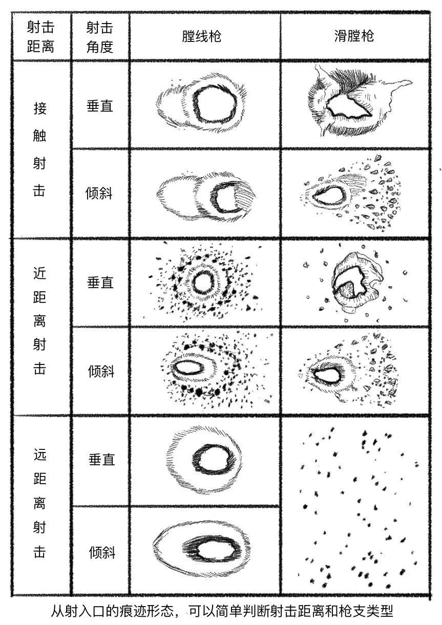 法医秦明典藏版《清道夫》：出没于繁华街的连续杀人者，到底是谁呢。