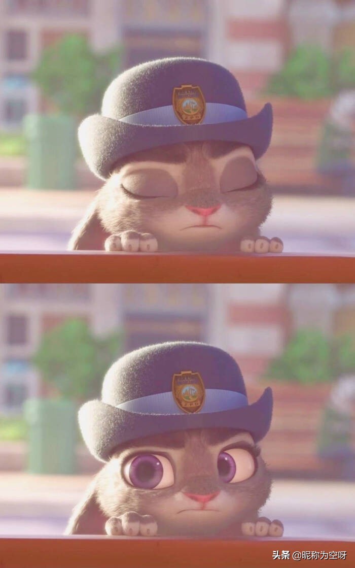 研究生探秘：会计学的研究生生活是怎么样的？