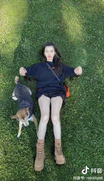 3条视频抖音涨粉213w，这些低粉账号用了什么“吸