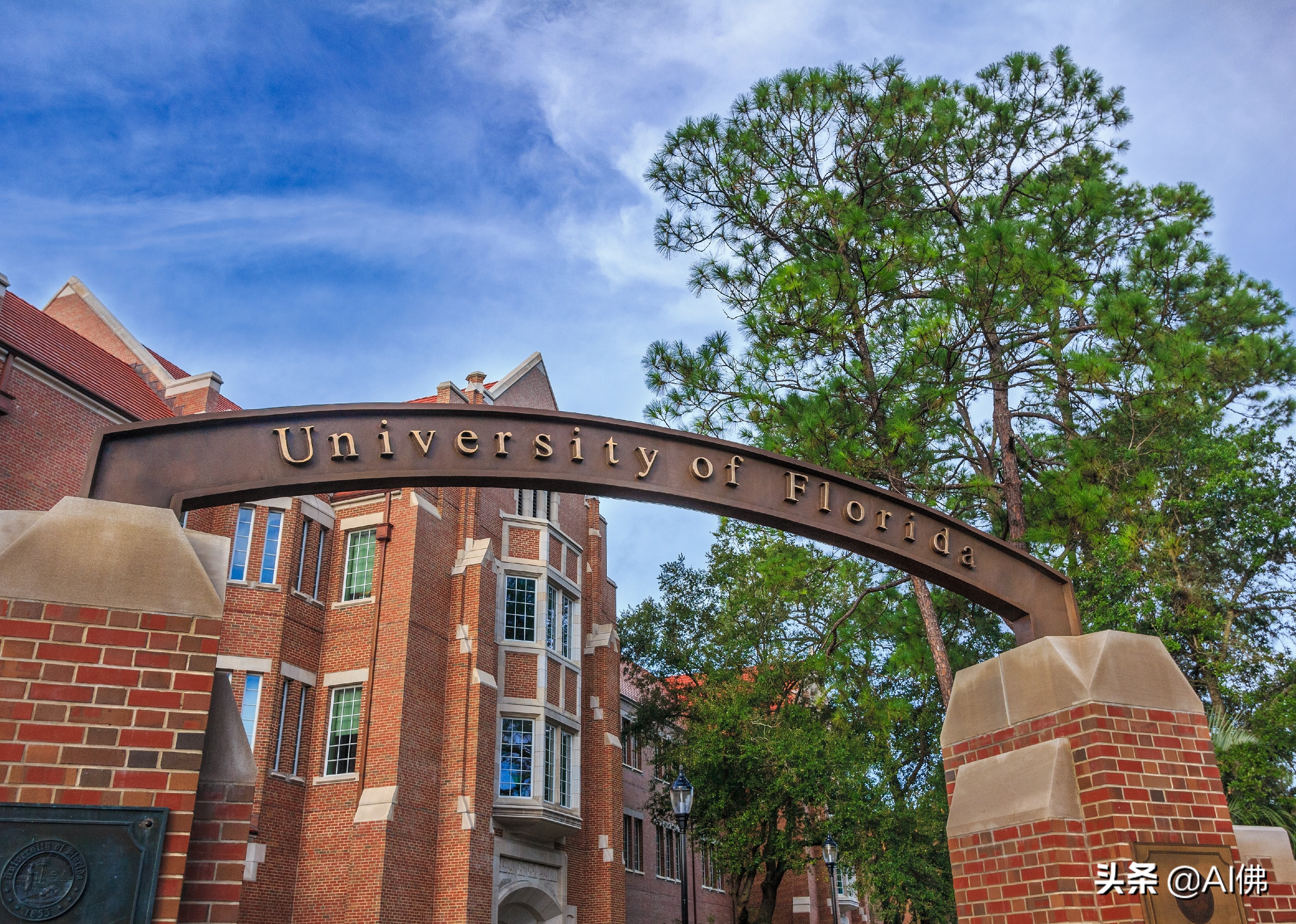 美国每个州ROI最高的公立大学