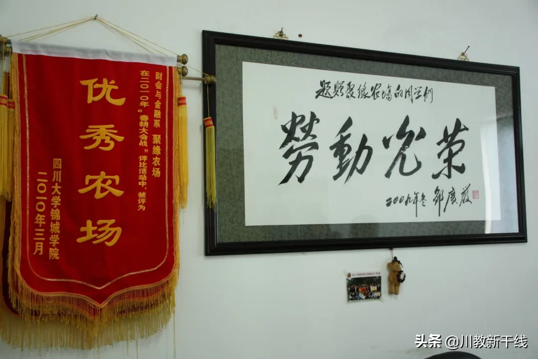 邓忠君：扎根四川大学锦城学院学生农场的“现代农夫”